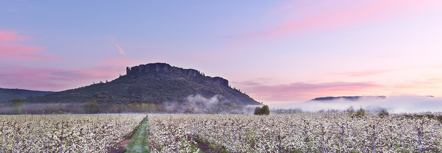 Hike Upper and Lower Table Rocks in Southern Oregon